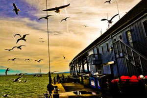 不要注册码的网络手机号在线发送